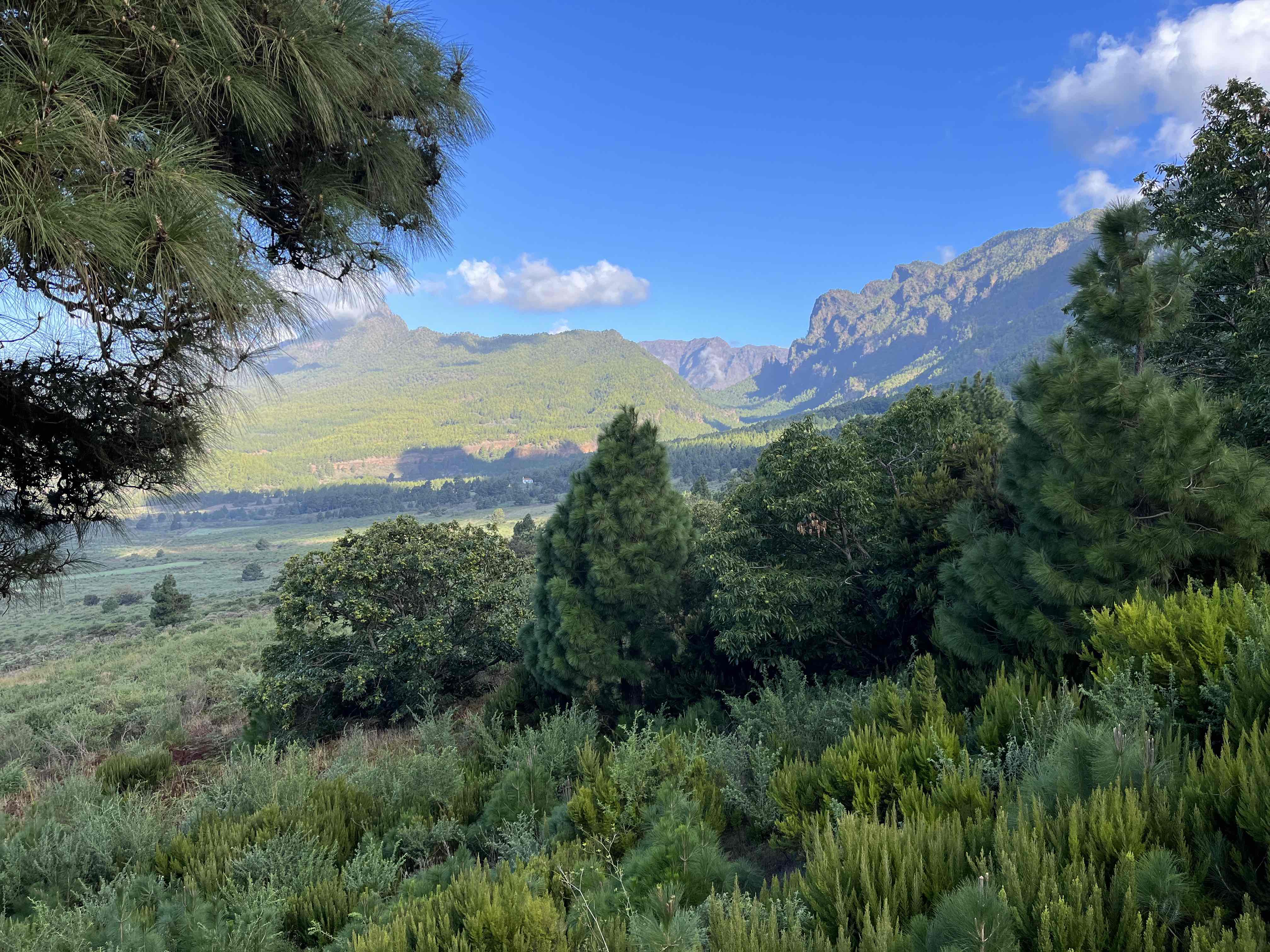 la palma smer Caldera